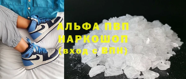 прущие крисы Новозыбков