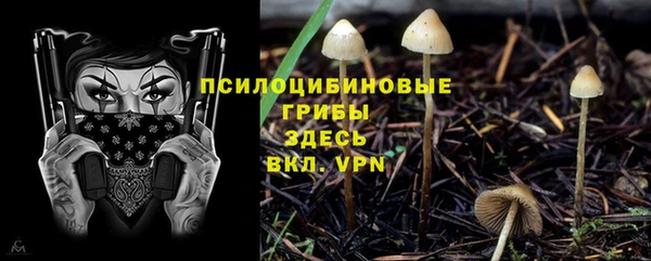 прущие крисы Новозыбков